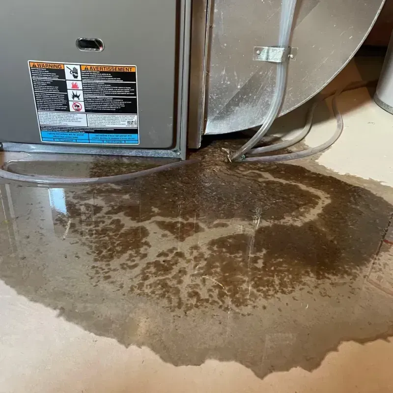 Appliance Leak Cleanup in Pine Bluffs, WY